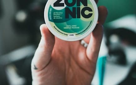 How to use nordic spirit nicotine pouches?